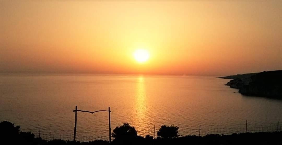 Araucaria Apartments Tsilivi  Buitenkant foto